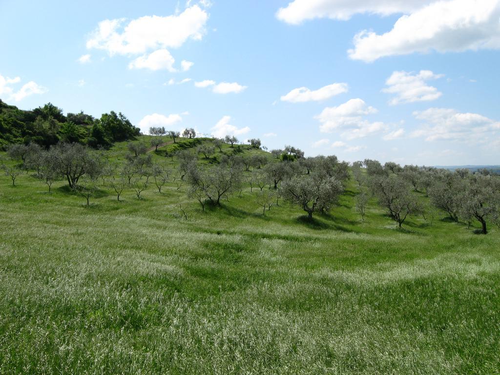 Agriturismo Le Roghete Acquapendente Exterior foto