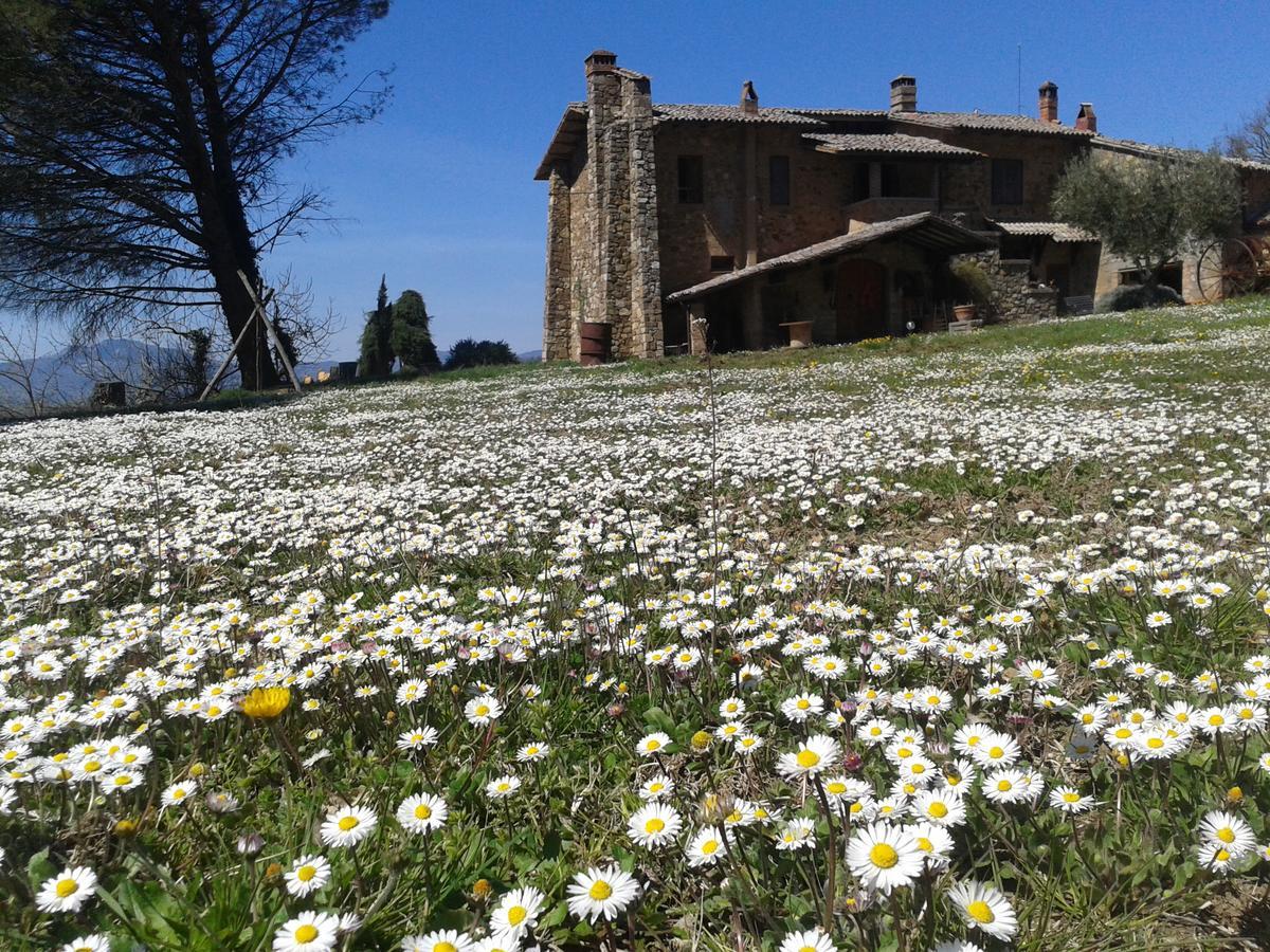 Agriturismo Le Roghete Acquapendente Exterior foto
